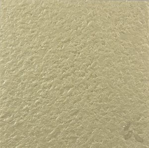 TC005