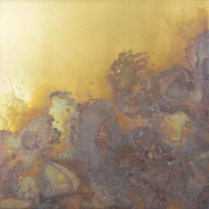 FMD001